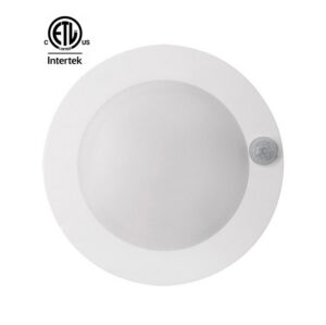 Surface Mount Light with Sensors
